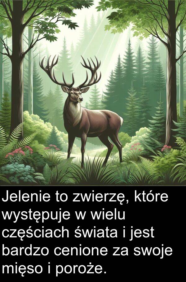 cenione: Jelenie to zwierzę, które występuje w wielu częściach świata i jest bardzo cenione za swoje mięso i poroże.