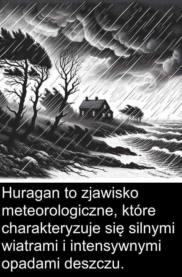 deszczu: Huragan to zjawisko meteorologiczne, które charakteryzuje się silnymi wiatrami i intensywnymi opadami deszczu.