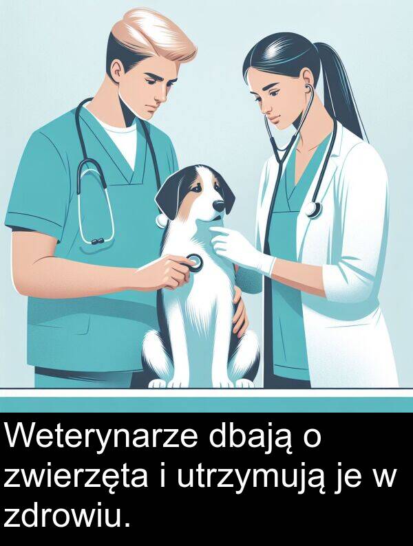 dbają: Weterynarze dbają o zwierzęta i utrzymują je w zdrowiu.