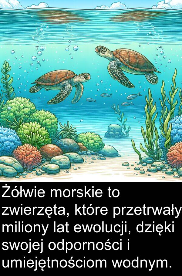 lat: Żółwie morskie to zwierzęta, które przetrwały miliony lat ewolucji, dzięki swojej odporności i umiejętnościom wodnym.