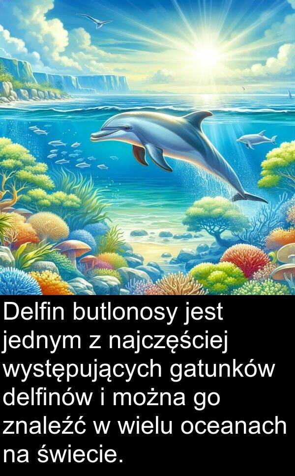 jednym: Delfin butlonosy jest jednym z najczęściej występujących gatunków delfinów i można go znaleźć w wielu oceanach na świecie.