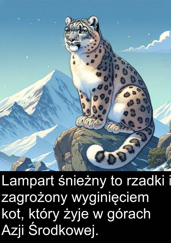 zagrożony: Lampart śnieżny to rzadki i zagrożony wyginięciem kot, który żyje w górach Azji Środkowej.