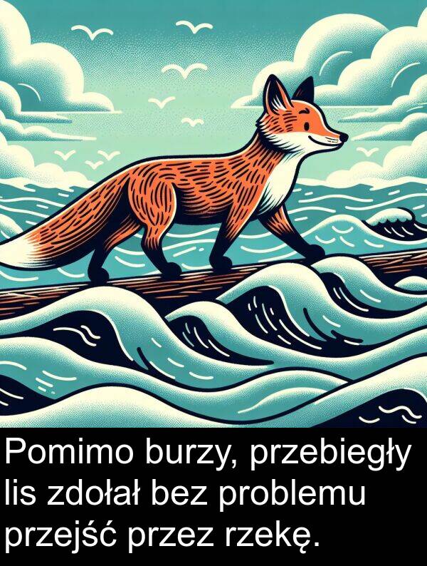 bez: Pomimo burzy, przebiegły lis zdołał bez problemu przejść przez rzekę.