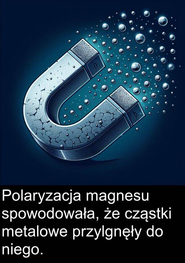 magnesu: Polaryzacja magnesu spowodowała, że cząstki metalowe przylgnęły do niego.