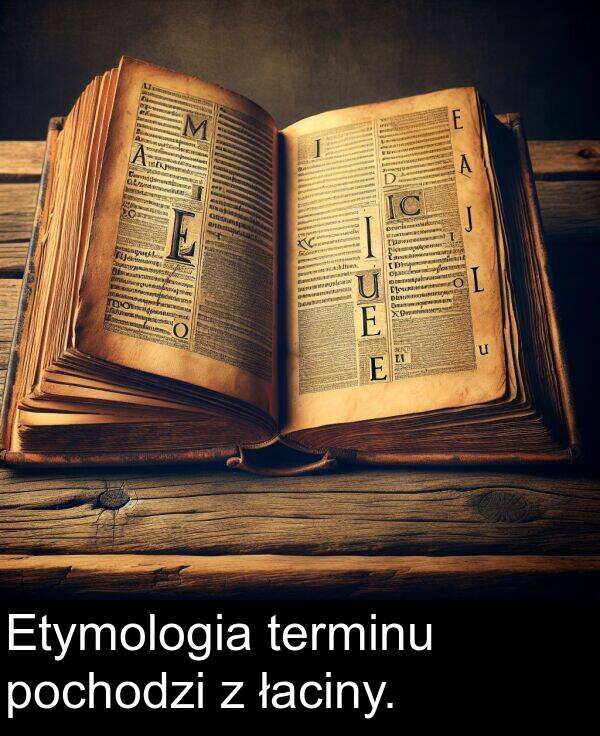 terminu: Etymologia terminu pochodzi z łaciny.