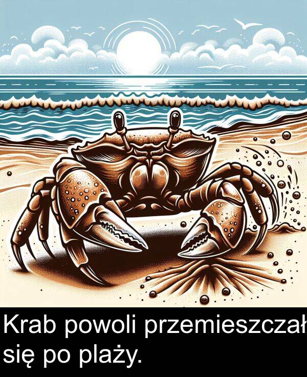 się: Krab powoli przemieszczał się po plaży.