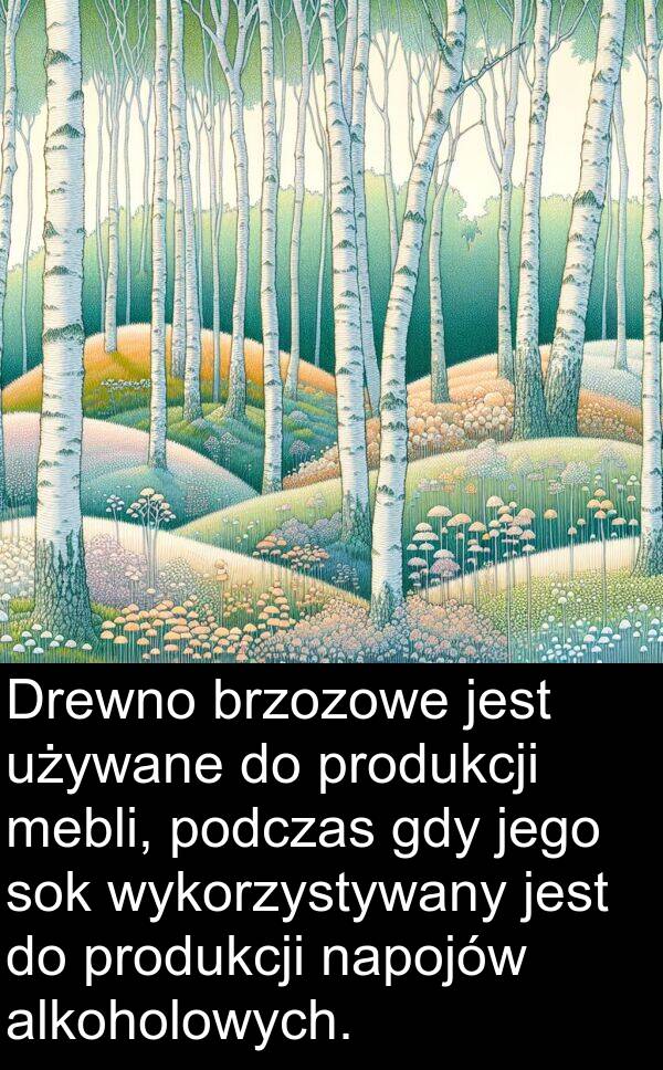 używane: Drewno brzozowe jest używane do produkcji mebli, podczas gdy jego sok wykorzystywany jest do produkcji napojów alkoholowych.