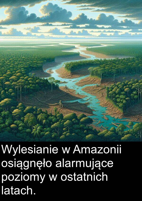 latach: Wylesianie w Amazonii osiągnęło alarmujące poziomy w ostatnich latach.