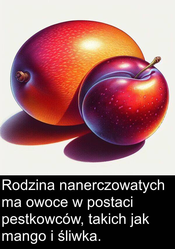 takich: Rodzina nanerczowatych ma owoce w postaci pestkowców, takich jak mango i śliwka.