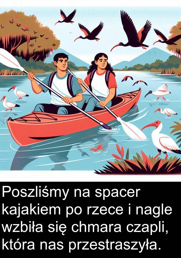 nagle: Poszliśmy na spacer kajakiem po rzece i nagle wzbiła się chmara czapli, która nas przestraszyła.