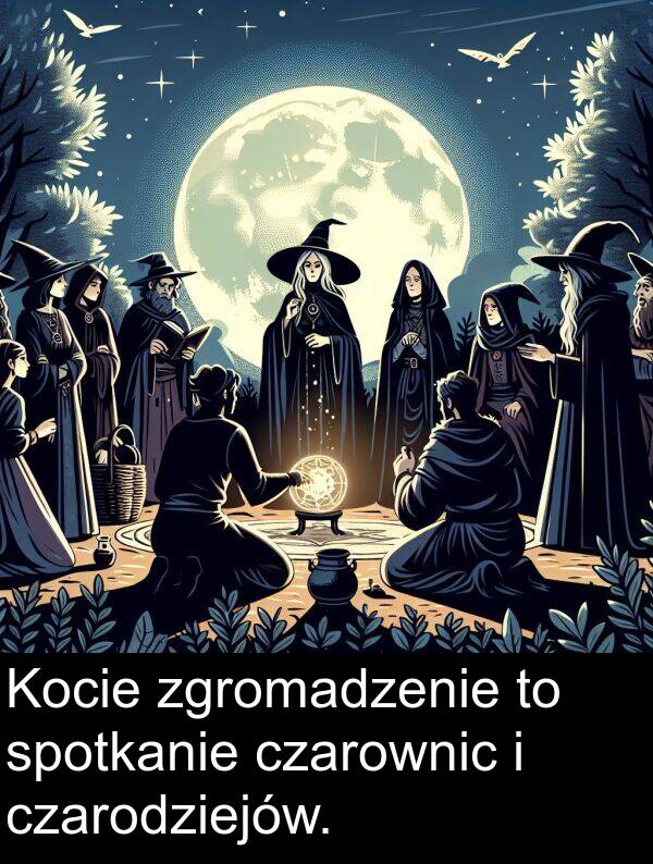 czarownic: Kocie zgromadzenie to spotkanie czarownic i czarodziejów.