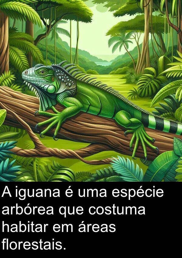 áreas: A iguana é uma espécie arbórea que costuma habitar em áreas florestais.