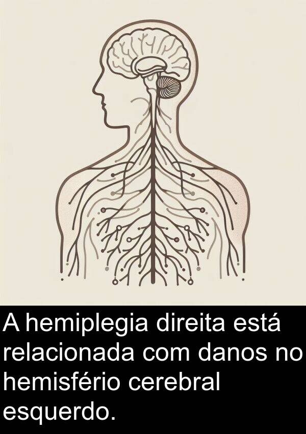 hemisfério: A hemiplegia direita está relacionada com danos no hemisfério cerebral esquerdo.