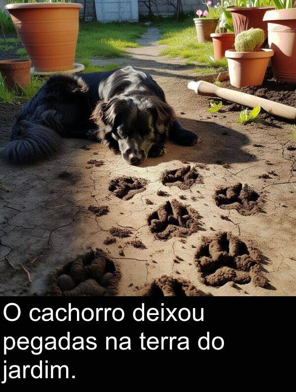 terra: O cachorro deixou pegadas na terra do jardim.