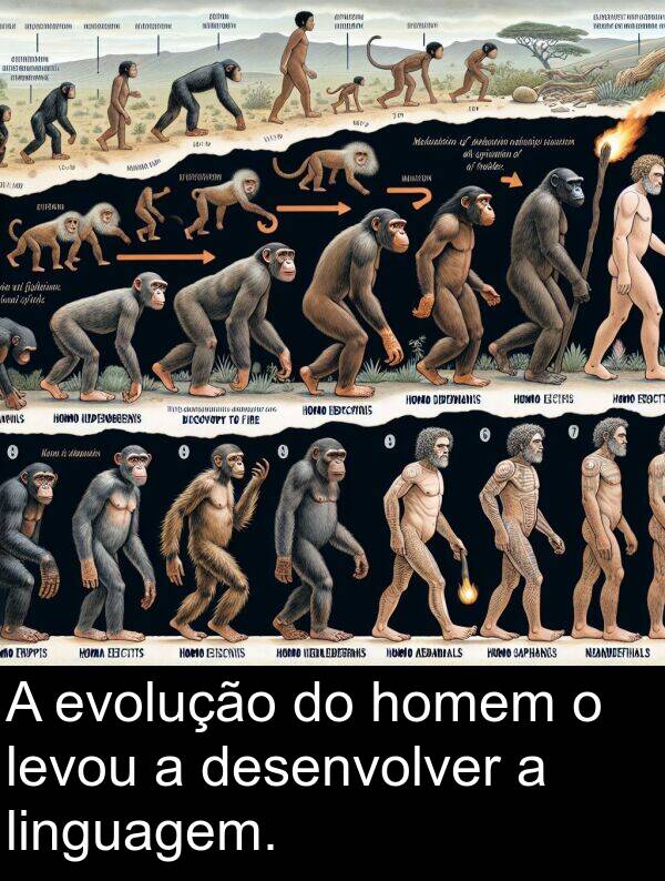 homem: A evolução do homem o levou a desenvolver a linguagem.