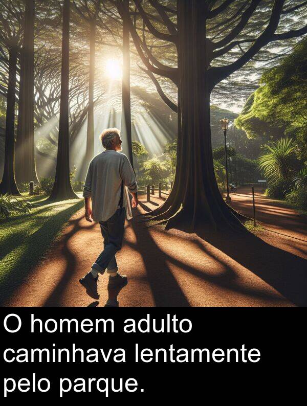 homem: O homem adulto caminhava lentamente pelo parque.