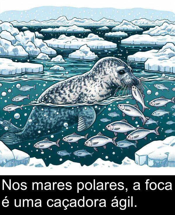 mares: Nos mares polares, a foca é uma caçadora ágil.