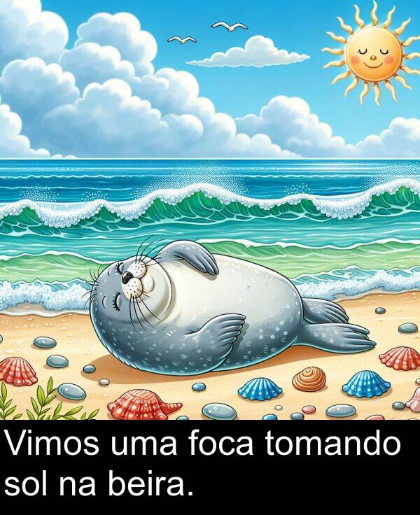 beira: Vimos uma foca tomando sol na beira.