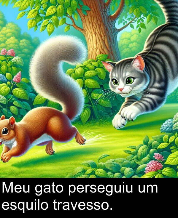 gato: Meu gato perseguiu um esquilo travesso.