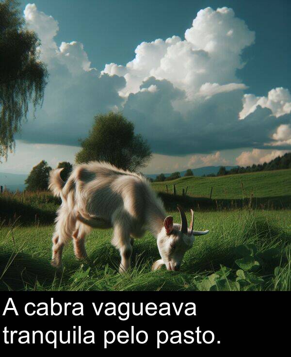 vagueava: A cabra vagueava tranquila pelo pasto.