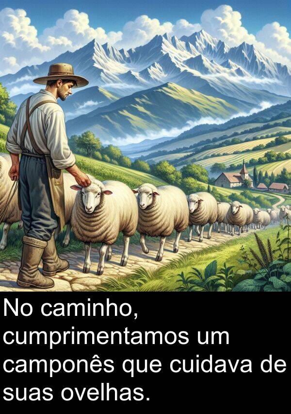 caminho: No caminho, cumprimentamos um camponês que cuidava de suas ovelhas.