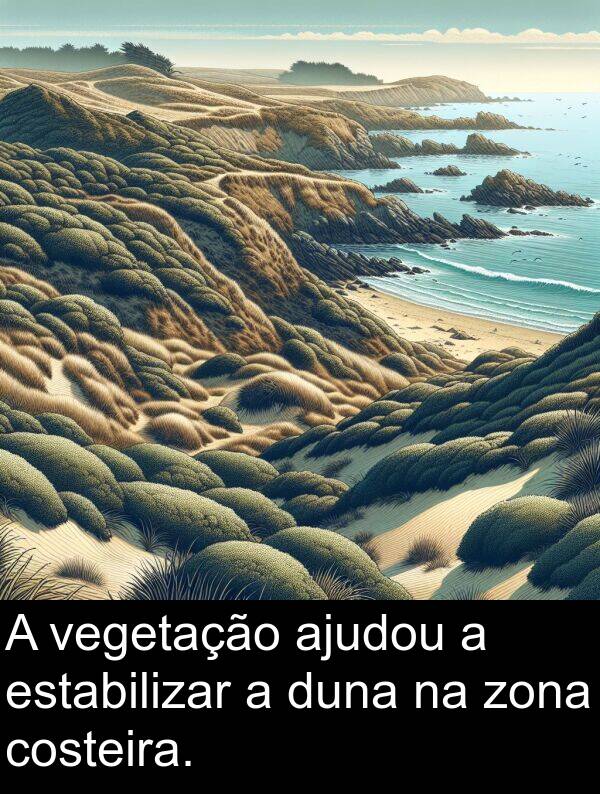 vegetação: A vegetação ajudou a estabilizar a duna na zona costeira.