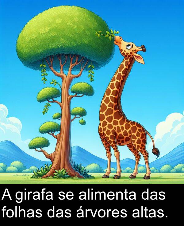 das: A girafa se alimenta das folhas das árvores altas.