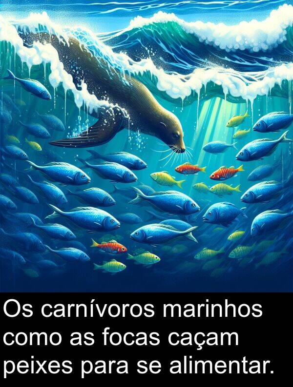 marinhos: Os carnívoros marinhos como as focas caçam peixes para se alimentar.