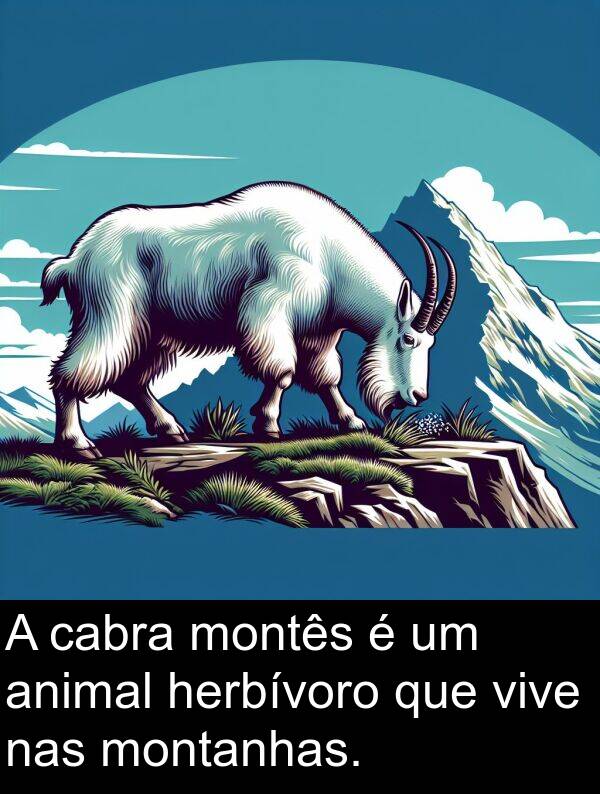 herbívoro: A cabra montês é um animal herbívoro que vive nas montanhas.