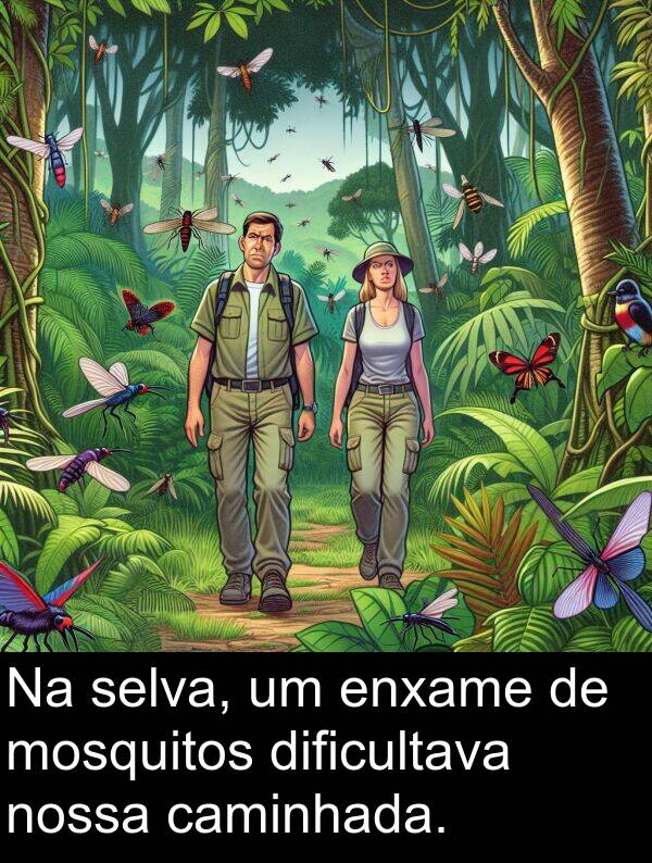 selva: Na selva, um enxame de mosquitos dificultava nossa caminhada.