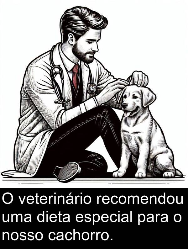 veterinário: O veterinário recomendou uma dieta especial para o nosso cachorro.