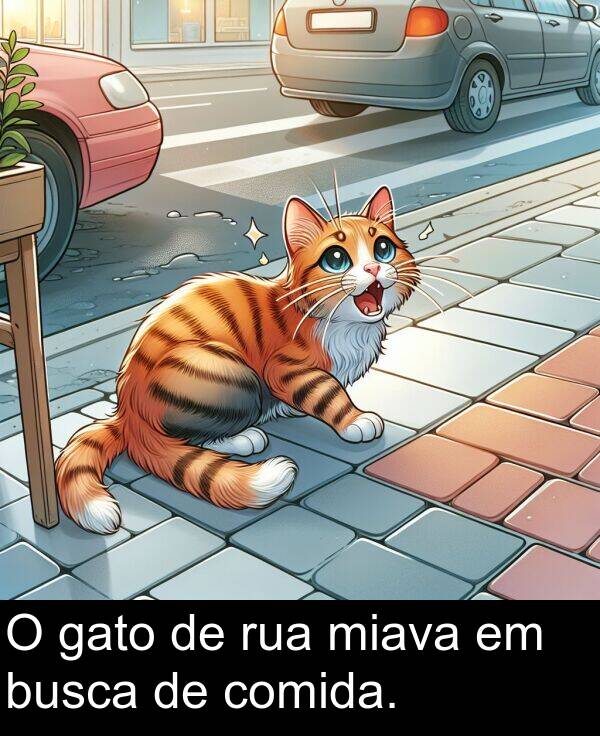 gato: O gato de rua miava em busca de comida.