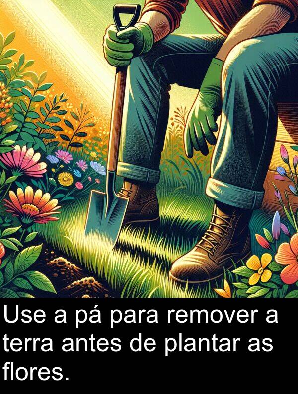 terra: Use a pá para remover a terra antes de plantar as flores.