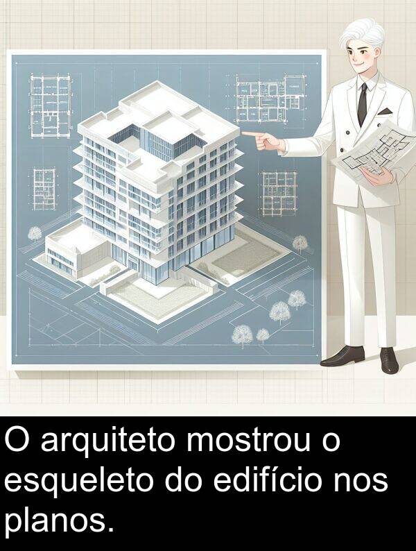 nos: O arquiteto mostrou o esqueleto do edifício nos planos.