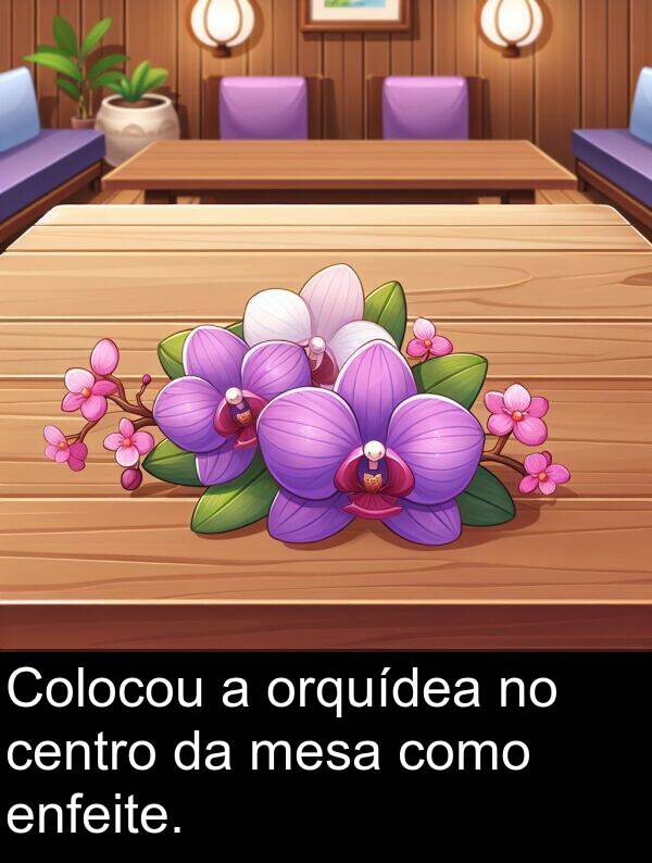 mesa: Colocou a orquídea no centro da mesa como enfeite.