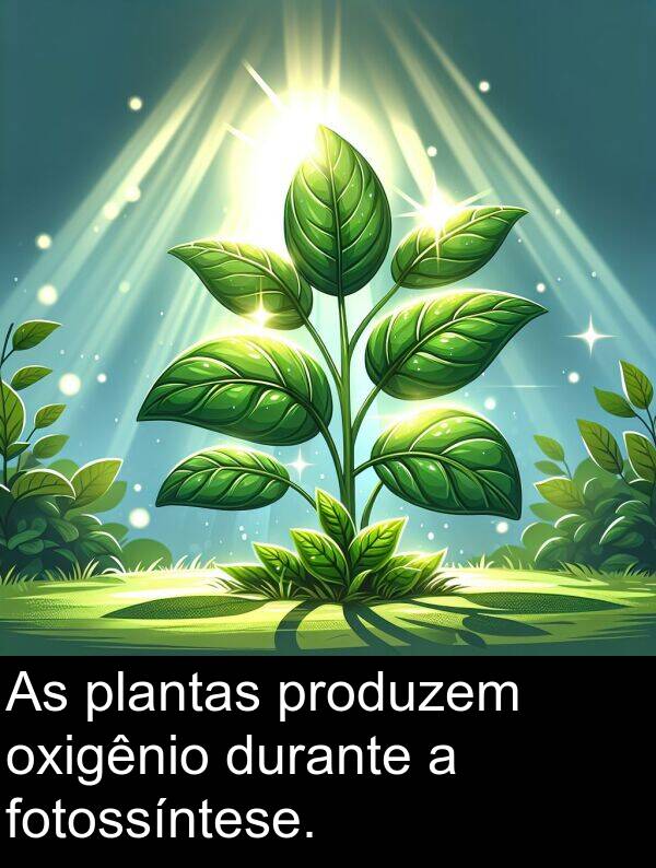 produzem: As plantas produzem oxigênio durante a fotossíntese.