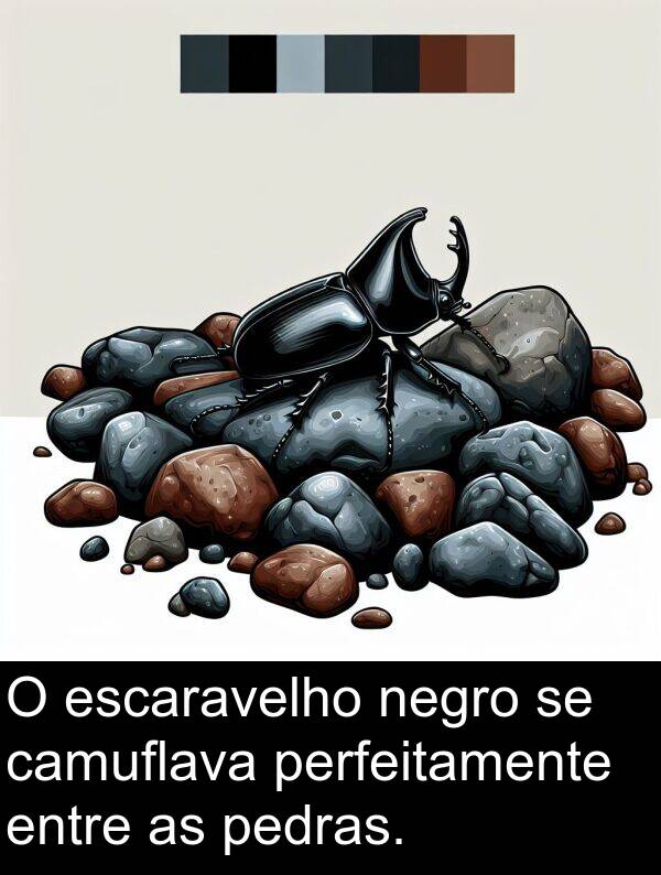 negro: O escaravelho negro se camuflava perfeitamente entre as pedras.