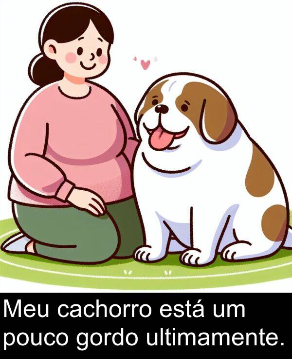 ultimamente: Meu cachorro está um pouco gordo ultimamente.