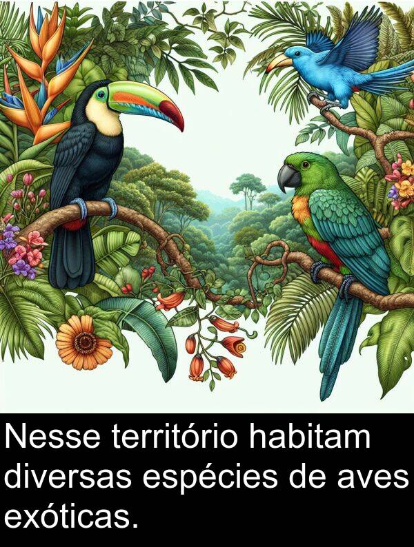 território: Nesse território habitam diversas espécies de aves exóticas.