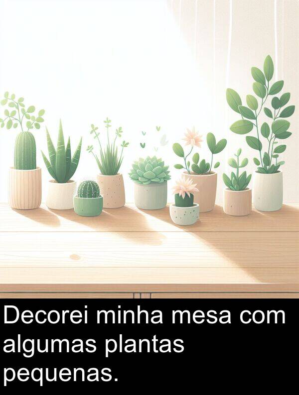 pequenas: Decorei minha mesa com algumas plantas pequenas.