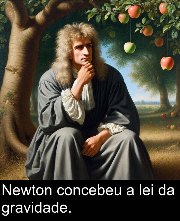 lei: Newton concebeu a lei da gravidade.