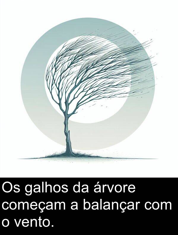 galhos: Os galhos da árvore começam a balançar com o vento.