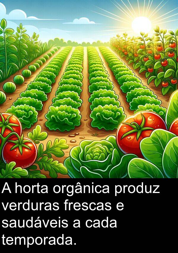 verduras: A horta orgânica produz verduras frescas e saudáveis a cada temporada.