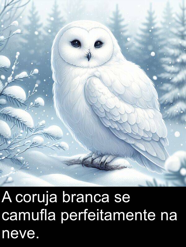 coruja: A coruja branca se camufla perfeitamente na neve.