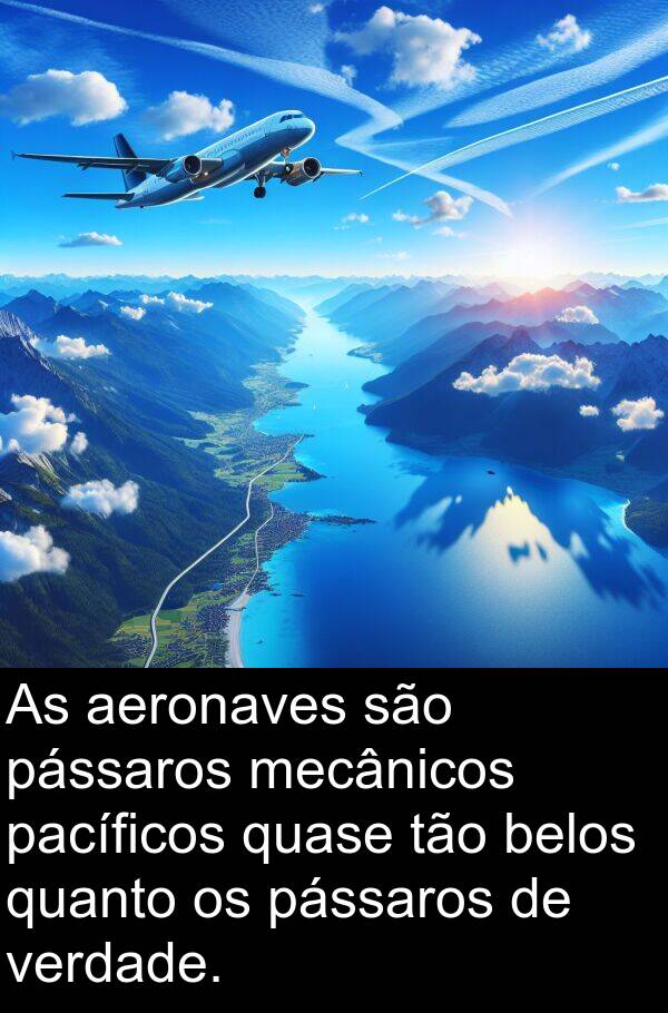 mecânicos: As aeronaves são pássaros mecânicos pacíficos quase tão belos quanto os pássaros de verdade.