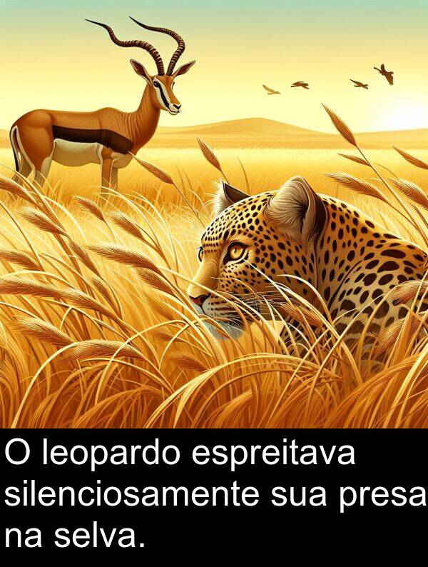 leopardo: O leopardo espreitava silenciosamente sua presa na selva.