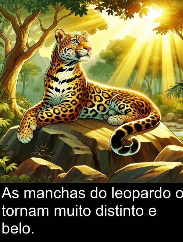 leopardo: As manchas do leopardo o tornam muito distinto e belo.