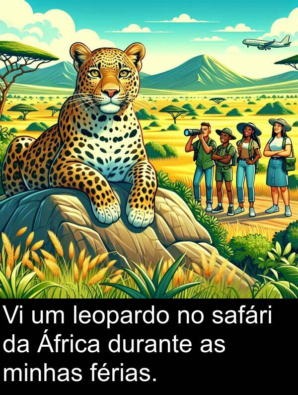 leopardo: Vi um leopardo no safári da África durante as minhas férias.