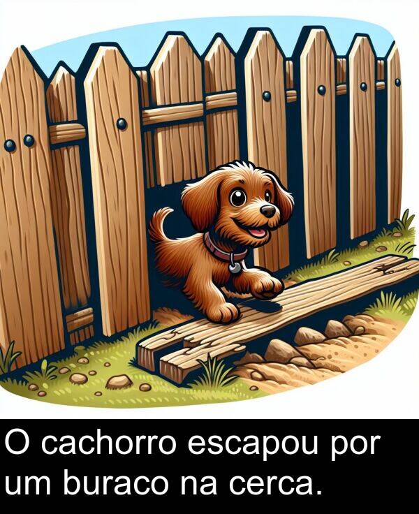 cachorro: O cachorro escapou por um buraco na cerca.