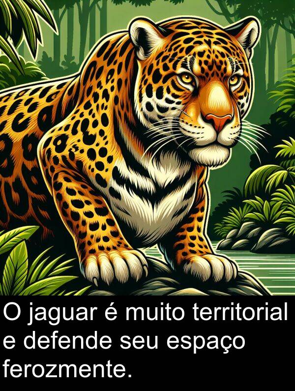 jaguar: O jaguar é muito territorial e defende seu espaço ferozmente.